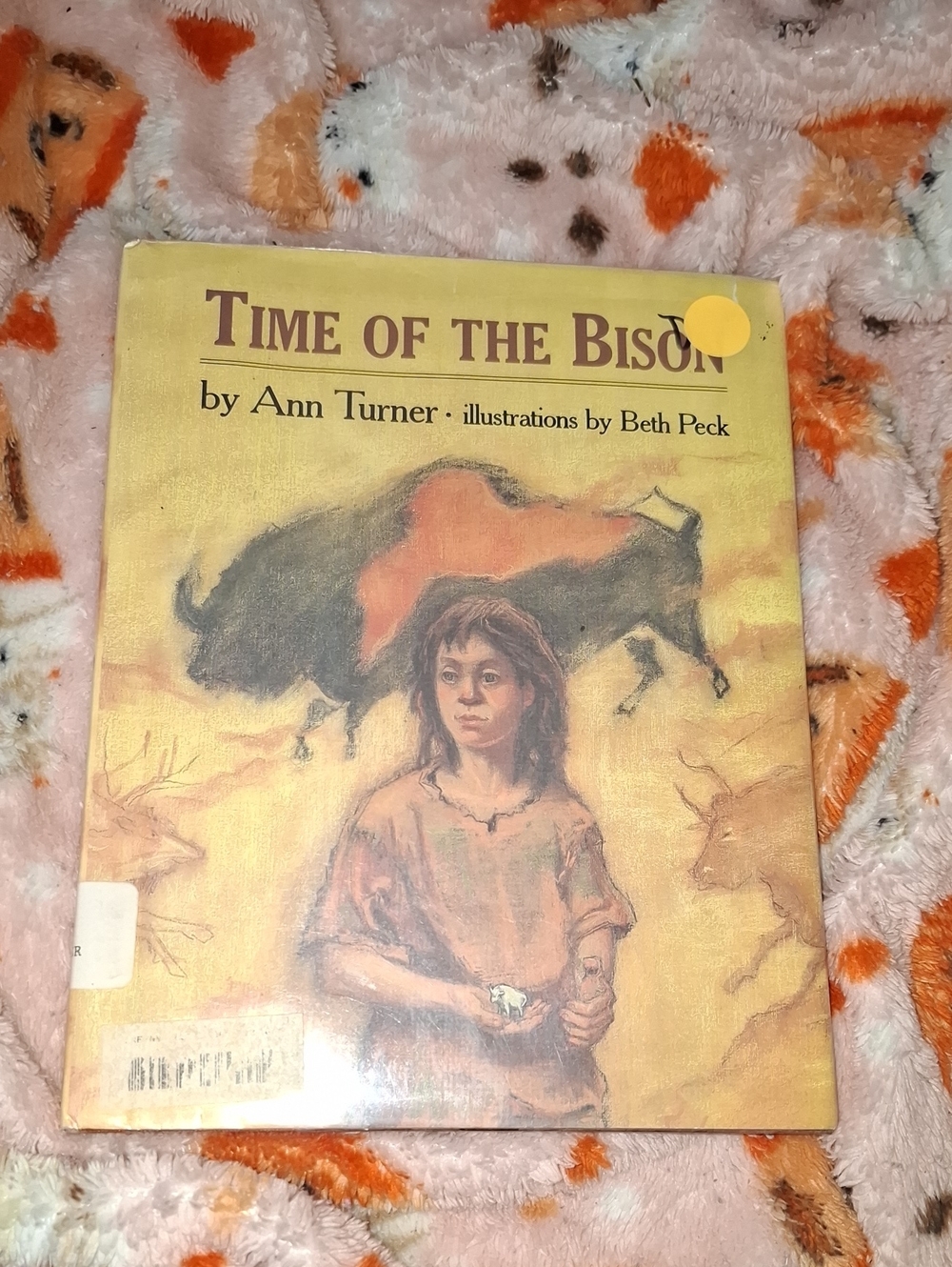 Time of the Bison by Ann Turner - Yellow Cover